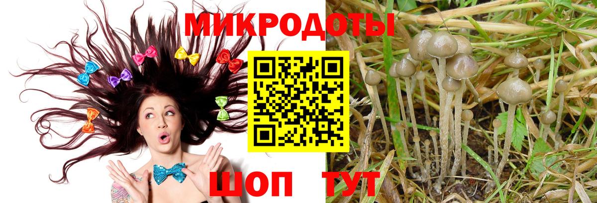 Гусев  Галлюциногенные грибы GOLDEN TEACHER  Галлюциногенные грибы MAGIC MUSHROOMS  Вход с VPN 
